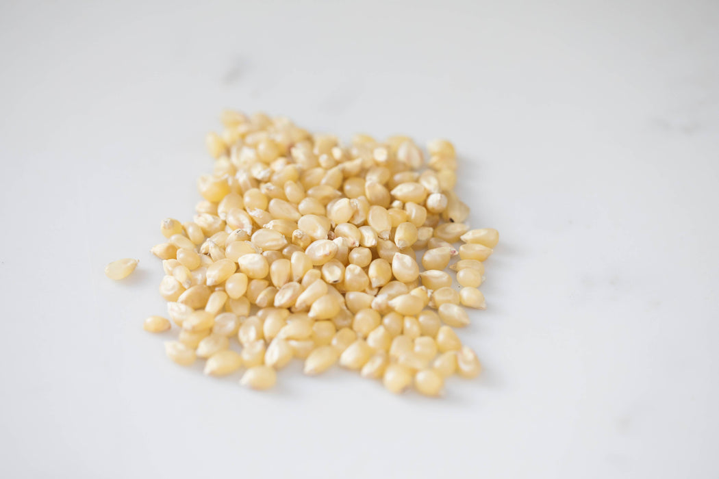 Amish Country | 2lb Bag of Medium White Popcorn Kernels