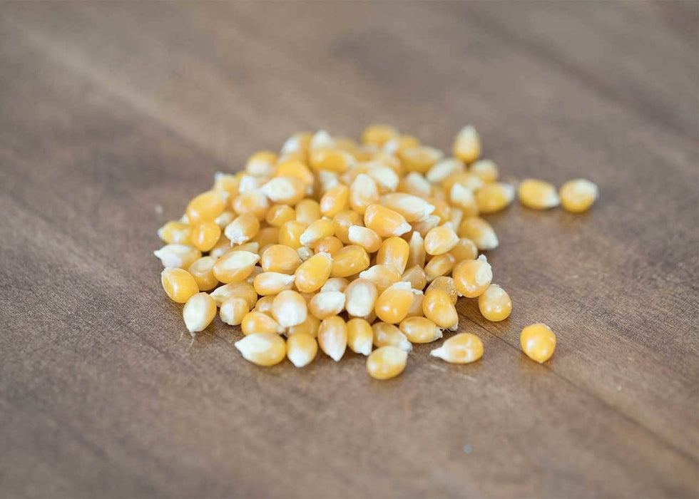 Amish Country | 2lb Bag of Medium Yellow Popcorn Kernels
