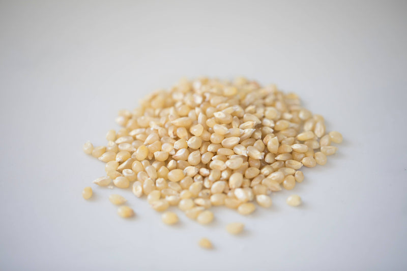 Amish Country | 2lb Bag of Baby White Popcorn Kernels