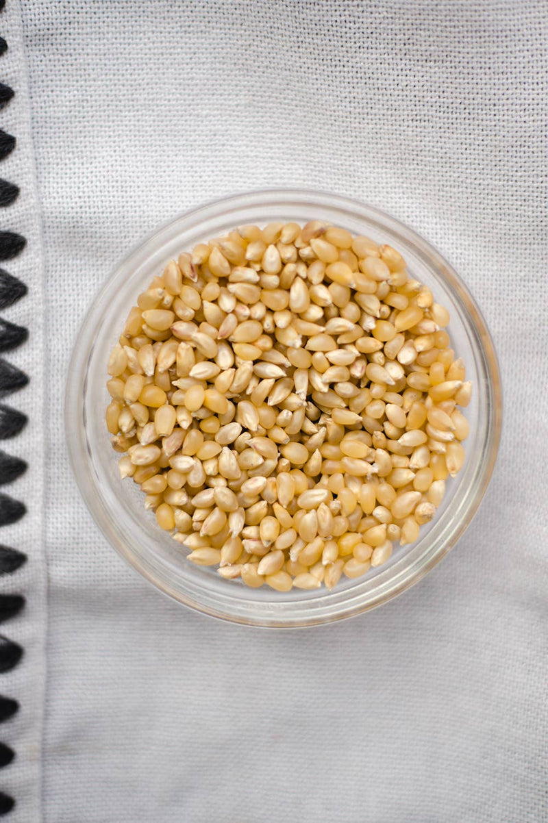 Amish Country | 2lb Bag of Baby Yellow Popcorn Kernels