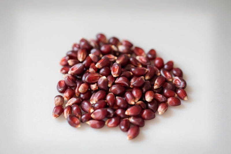 Amish Country | 2lb Bag of Red Popcorn Kernels