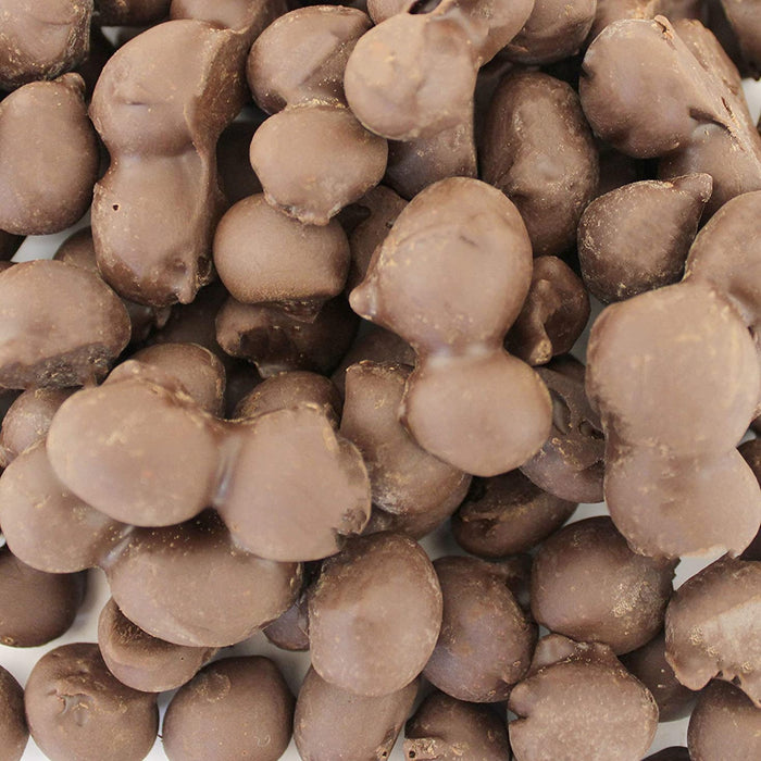 Nancy Adams Milk Chocolate Covered Peanuts