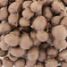 Nancy Adams Milk Chocolate Covered Peanuts